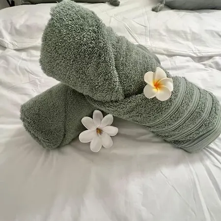 2 Joli Neuf Veranda D Ete Bords De Marne 5 Km Paris Appartement *