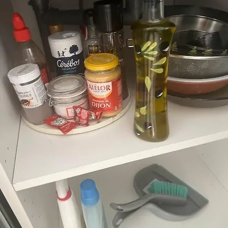 Apartamento 2 Joli Neuf Veranda D Ete Bords De Marne 5 Km Paris