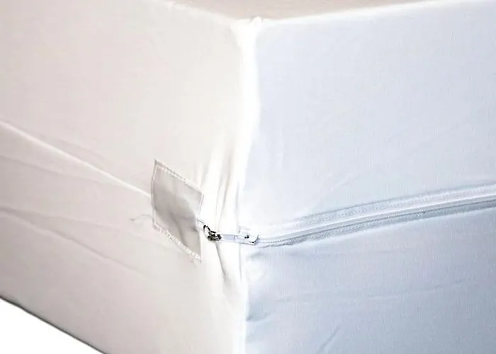 2 Joli Neuf Veranda D Ete Bords De Marne 5 Km Paris Appartement Champigny-sur-Marne