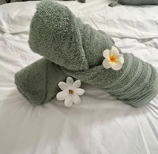 2 Joli Neuf Veranda D Ete Bords De Marne 5 Km Paris Appartement *