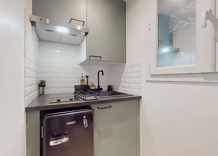 Appartement 2 Joli Neuf Veranda D Ete Bords De Marne 5 Km Paris *