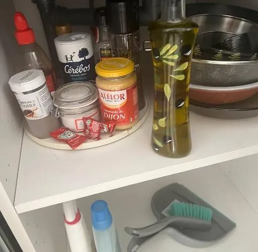 Appartement 2 Joli Neuf Veranda D Ete Bords De Marne 5 Km Paris