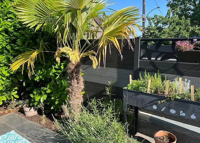 2 Joli Neuf Veranda D Ete Bords De Marne 5 Km Paris Appartement *